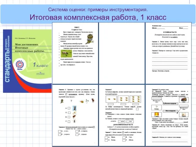 Система оценки: примеры инструментария. Итоговая комплексная работа, 1 класс