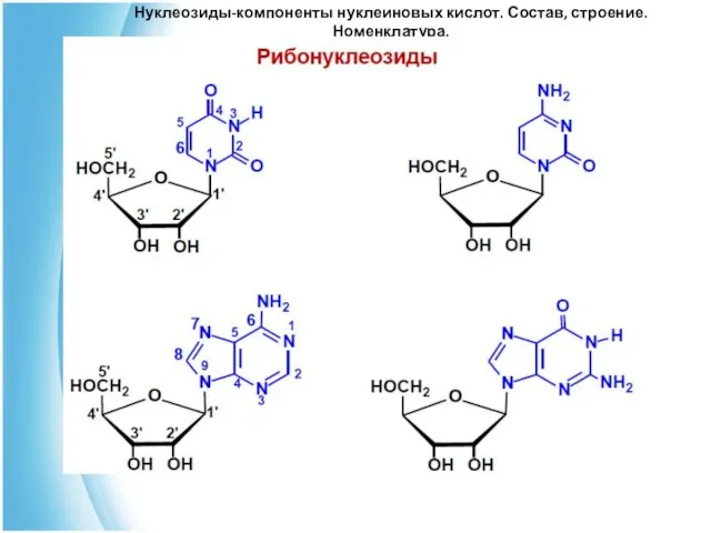 Нуклеозиды-компоненты нуклеиновых кислот. Состав, строение. Номенклатура.