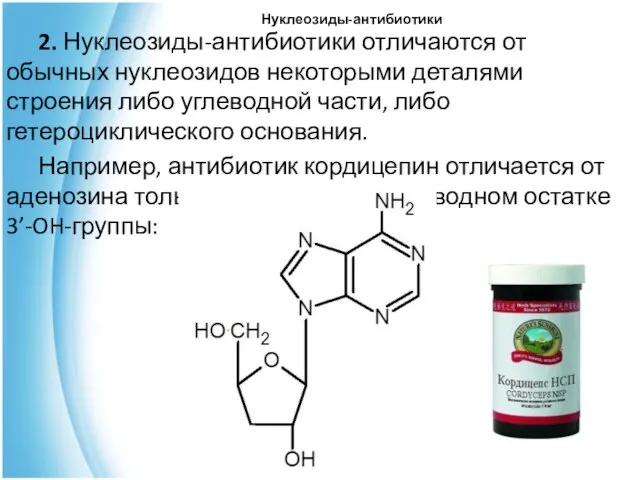 Нуклеозиды-антибиотики 2. Нуклеозиды-антибиотики отличаются от обычных нуклеозидов некоторыми деталями строения либо углеводной