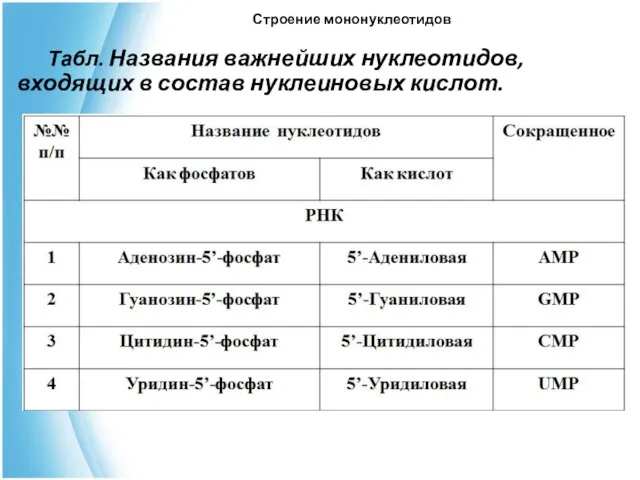 Строение мононуклеотидов Табл. Названия важнейших нуклеотидов, входящих в состав нуклеиновых кислот.