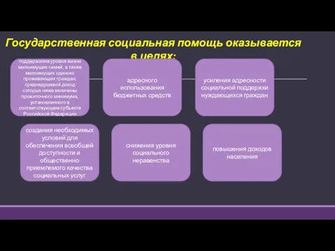 Государственная социальная помощь оказывается в целях: поддержания уровня жизни малоимущих семей, а