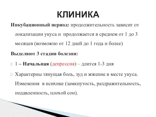 Инкубационный период: продолжительность зависит от локализации укуса и продолжается в среднем от