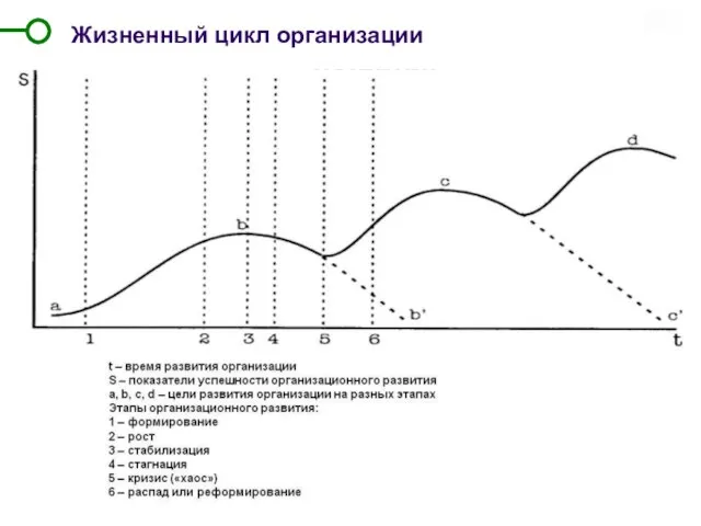 Жизненный цикл организации