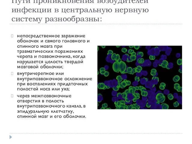 Пути проникновения возбудителей инфекции в центральную нервную систему разнообразны: непосредственное заражение оболочек