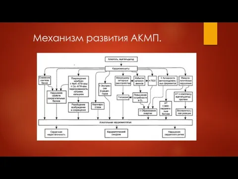 Механизм развития АКМП.