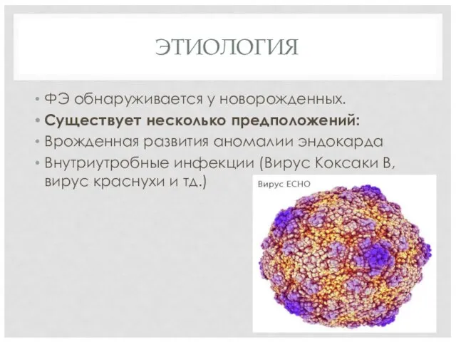 ЭТИОЛОГИЯ ФЭ обнаруживается у новорожденных. Существует несколько предположений: Врожденная развития аномалии эндокарда