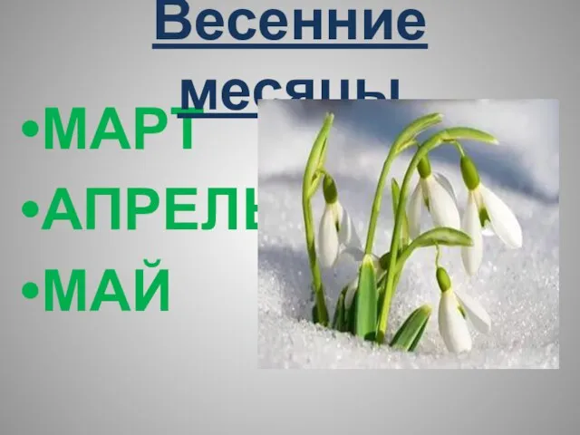 МАРТ АПРЕЛЬ МАЙ Весенние месяцы