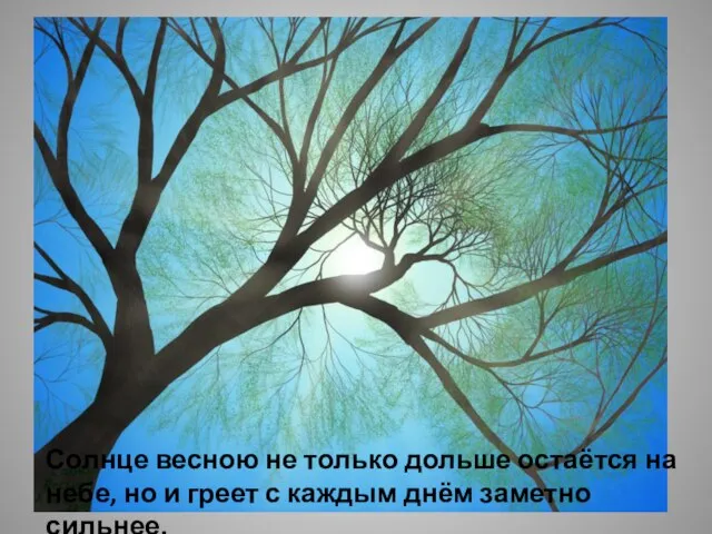 Солнце весною не только дольше остаётся на небе, но и греет с каждым днём заметно сильнее.