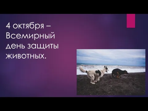 4 октября –Всемирный день защиты животных.