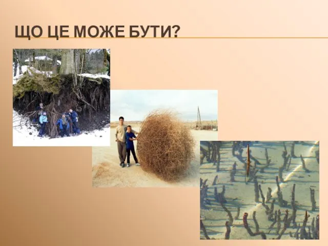 ЩО ЦЕ МОЖЕ БУТИ?