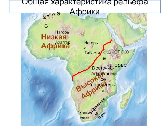 Общая характеристика рельефа Африки Низкая Африка Высокая Африка А т л а