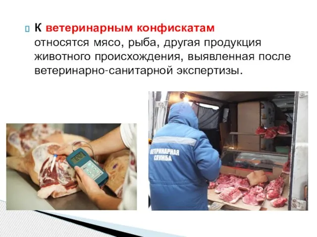 К ветеринарным конфискатам относятся мясо, рыба, другая продукция животного происхождения, выявленная после ветеринарно-санитарной экспертизы.