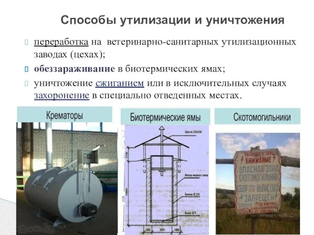 переработка на ветеринарно-санитарных утилизационных заводах (цехах); обеззараживание в биотермических ямах; уничтожение сжиганием