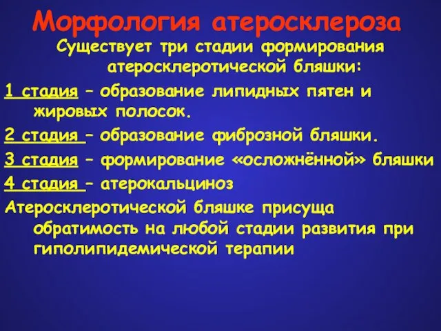 Морфология атеросклероза Существует три стадии формирования атеросклеротической бляшки: 1 стадия – образование