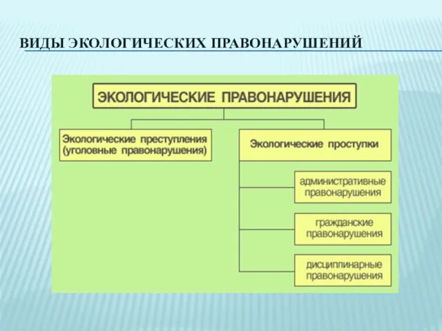 ВИДЫ ЭКОЛОГИЧЕСКИХ ПРАВОНАРУШЕНИЙ