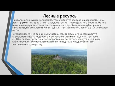 Лесные ресурсы Наиболее ценными на Дальнем Востоке считаются кедрово-широколиственные леса - 3,3