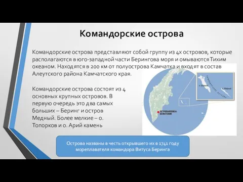 Командорские острова Командорские острова представляют собой группу из 4х островов, которые располагаются