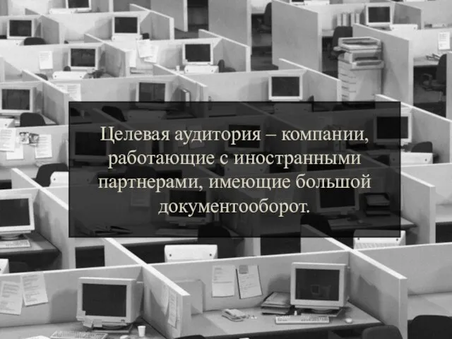 Целевая аудитория – компании, работающие с иностранными партнерами, имеющие большой документооборот.