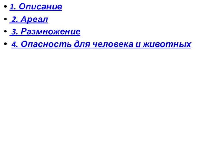 1. Описание 2. Ареал 3. Размножение 4. Опасность для человека и животных