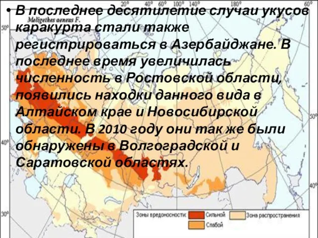 В последнее десятилетие случаи укусов каракурта стали также регистрироваться в Азербайджане. В