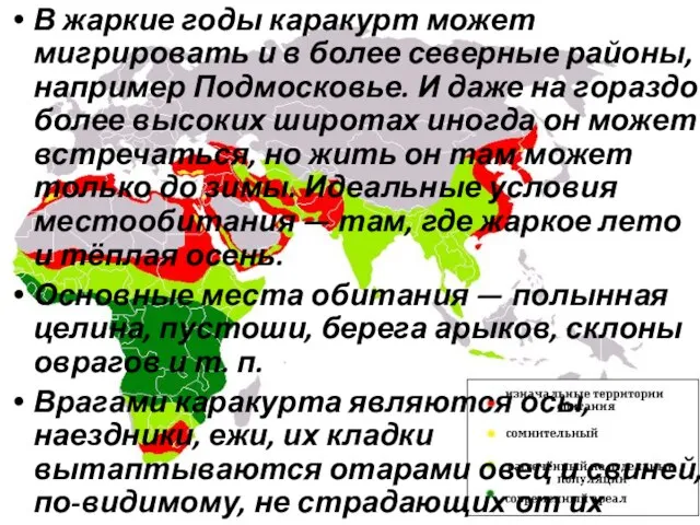 В жаркие годы каракурт может мигрировать и в более северные районы, например