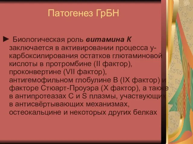 Патогенез ГрБН ► Биологическая роль витамина К заключается в активировании процесса у-карбоксилирования