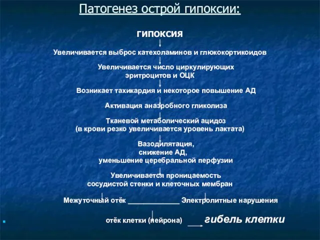 Патогенез острой гипоксии: ГИПОКСИЯ Увеличивается выброс катехоламинов и глюкокортикоидов Увеличивается число циркулирующих