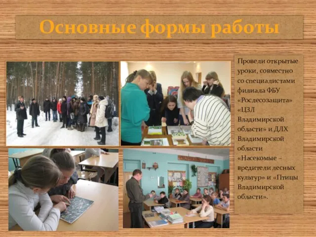 Провели открытые уроки, совместно со специалистами филиала ФБУ «Рослесозащита» «ЦЗЛ Владимирской области»
