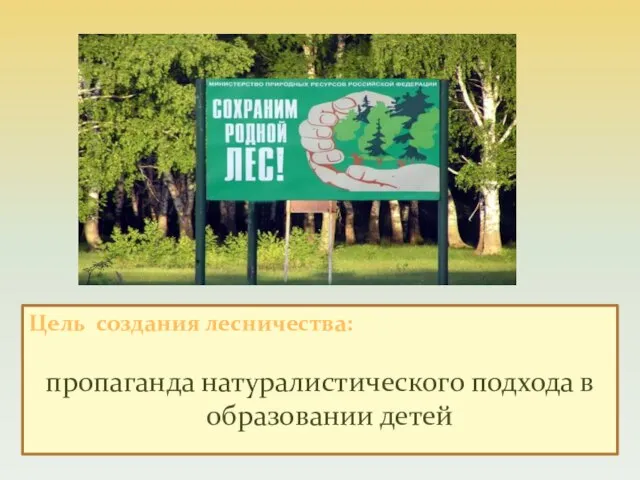 Цель создания лесничества: пропаганда натуралистического подхода в образовании детей