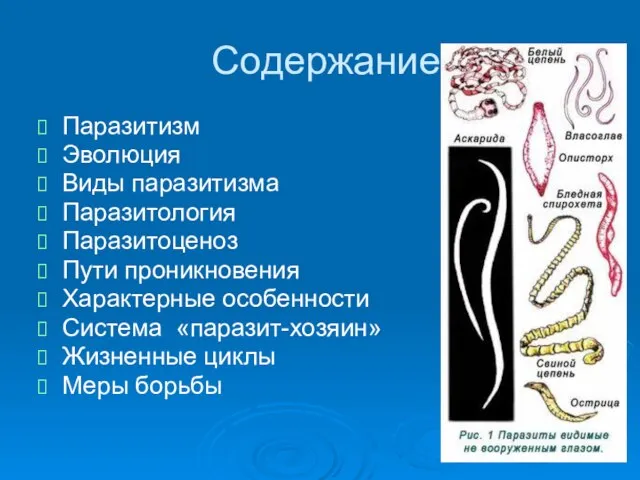 Содержание Паразитизм Эволюция Виды паразитизма Паразитология Паразитоценоз Пути проникновения Характерные особенности Система