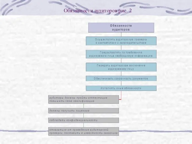 Обязанности аудиторов рис. 2