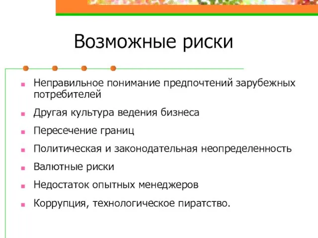 Возможные риски Неправильное понимание предпочтений зарубежных потребителей Другая культура ведения бизнеса Пересечение