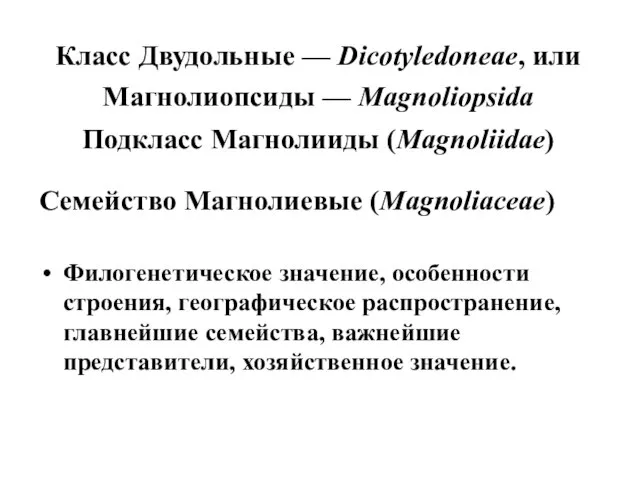 Класс Двудольные — Dicotyledoneae, или Магнолиопсиды — Magnoliopsida Подкласс Магнолииды (Magnoliidae) Семейство