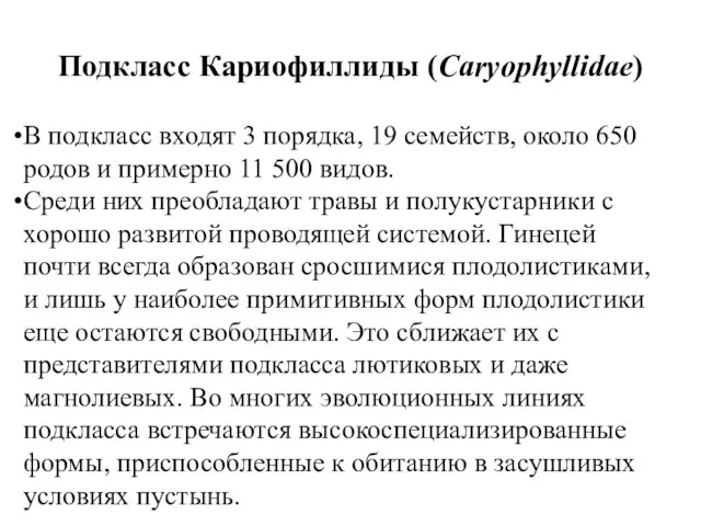 Подкласс Кариофиллиды (Caryophyllidae) В подкласс входят 3 порядка, 19 семейств, около 650