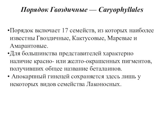 Порядок Гвоздичные — Caryophyllales Порядок включает 17 семейств, из которых наиболее известны