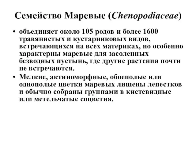 Семейство Маревые (Chenopodiaceae) объединяет около 105 родов и более 1600 травянистых и