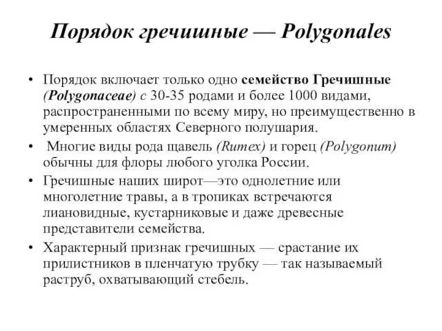 Порядок гречишные — Polygonales Порядок включает только одно семейство Гречишные (Polygoпасеае) с