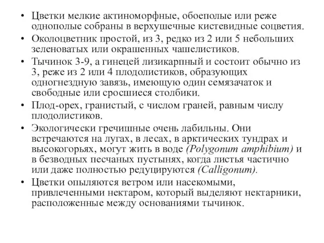 Цветки мелкие актиноморфные, обоеполые или реже однополые собраны в верхушечные кистевидные соцветия.