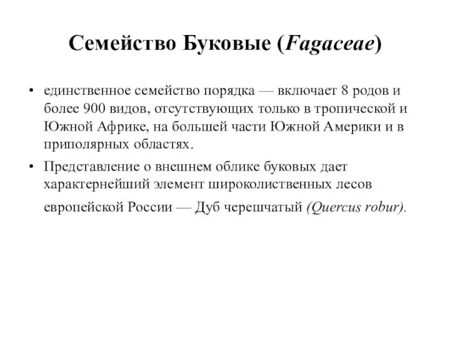 Семейство Буковые (Fagaceae) единственное семейство порядка — включает 8 родов и более