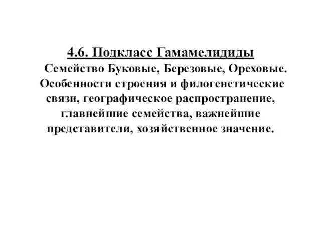 4.6. Подкласс Гамамелидиды Семейство Буковые, Березовые, Ореховые. Особенности строения и филогенетические связи,