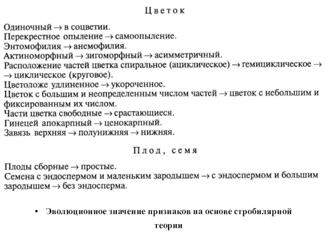 Эволюционное значение признаков на основе стробилярной теории