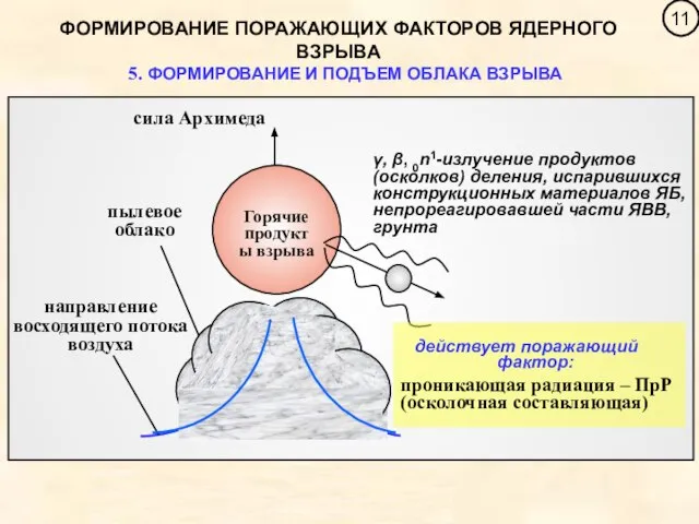 ФОРМИРОВАНИЕ ПОРАЖАЮЩИХ ФАКТОРОВ ЯДЕРНОГО ВЗРЫВА 5. ФОРМИРОВАНИЕ И ПОДЪЕМ ОБЛАКА ВЗРЫВА