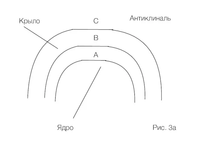 А В С Ядро Крыло Рис. 3а Антиклиналь