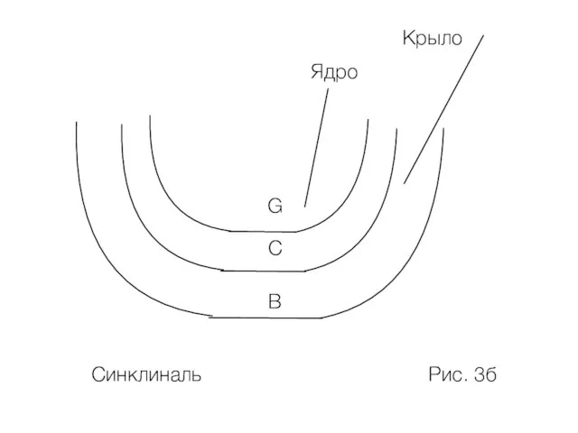 G В С Ядро Крыло Рис. 3б Синклиналь