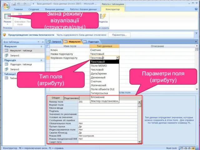 Зміна режиму візуалізації (структура/дані) Тип поля (атрибуту) Параметри поля (атрибуту)