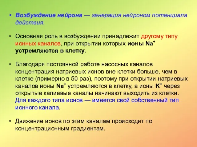 Возбуждение нейрона — генерация нейроном потенциала действия. Основная роль в возбуждении принадлежит