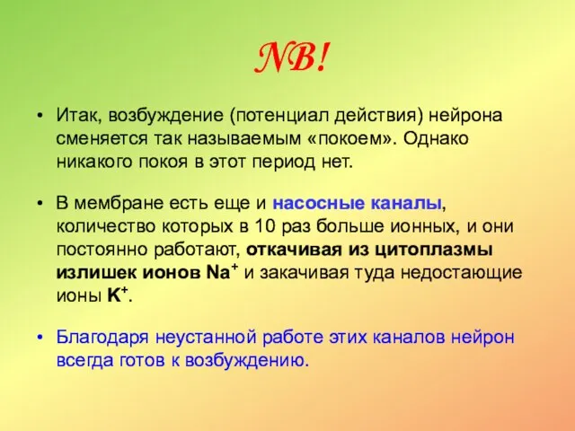 NB! Итак, возбуждение (потенциал действия) нейрона сменяется так называемым «покоем». Однако никакого