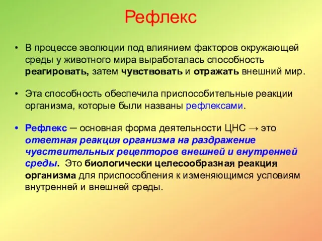 Рефлекс В процессе эволюции под влиянием факторов окружающей среды у животного мира