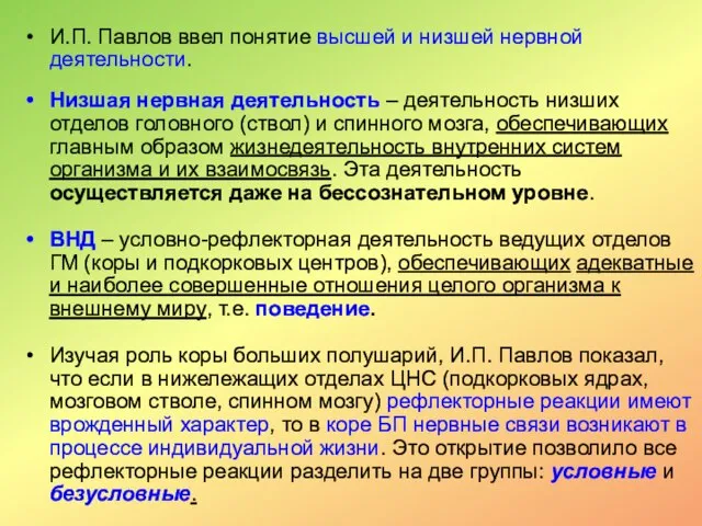 И.П. Павлов ввел понятие высшей и низшей нервной деятельности. Низшая нервная деятельность