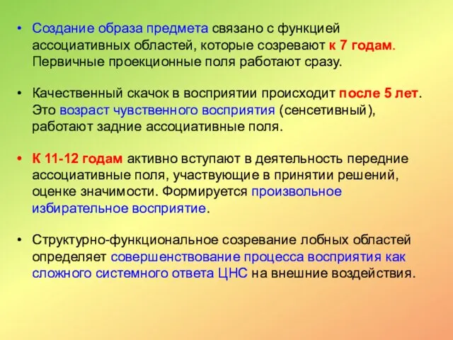 Создание образа предмета связано с функцией ассоциативных областей, которые созревают к 7